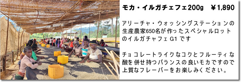 エチオピア・モカ・スペシャル200g